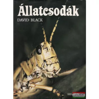 Állatcsodák