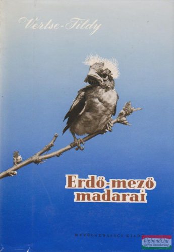 Erdő-mező madarai