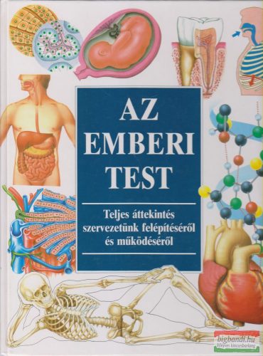 Benjámin Katalin szerk. - Az emberi test