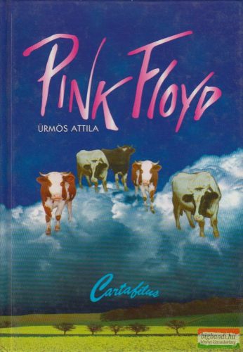Ürmös Attila - Pink Floyd