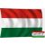 Magyar zászló 100x60 cm