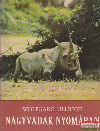 Wolfgang Ullrich - Nagyvadak nyomában