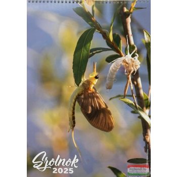 Szolnok falinaptár 2025