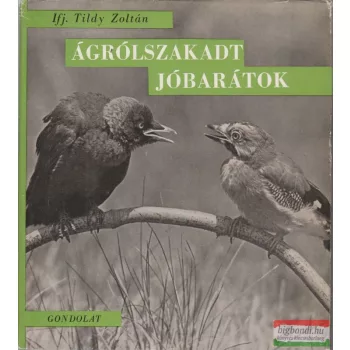 Ifj. Tildy Zoltán - Ágrólszakadt jóbarátok