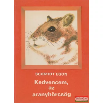 Kedvencem, az aranyhörcsög