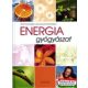 Donna Eden, David Feinstein - Energiagyógyászat