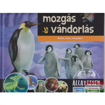 Bagoly Ilona - Mozgás és vándorlás
