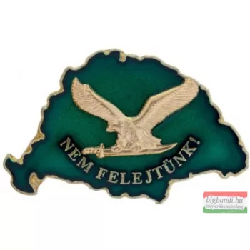   Kitűző - Nagy-Magyarország - nem felejtünk, zöld - turullal