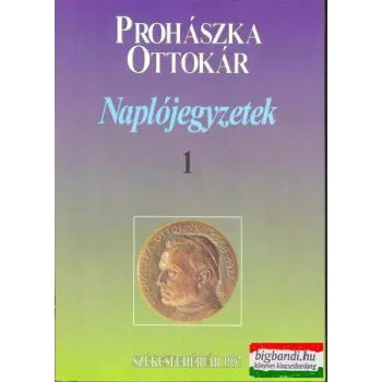 Naplójegyzetek I-III.