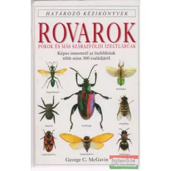 Rovarok - Pókok és más szárazföldi ízeltlábúak