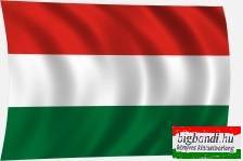 Magyar zászló 60x40 cm