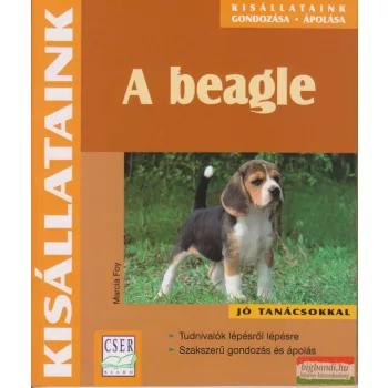Marcia Foy - A beagle
