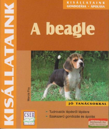 Marcia Foy - A beagle