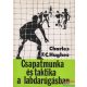 Charles F. C. Hughes - Csapatmunka és taktika a labdarúgásban