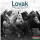 Lovak - Magyar írók, költők a lovakról - Révai Sára fotóalbuma