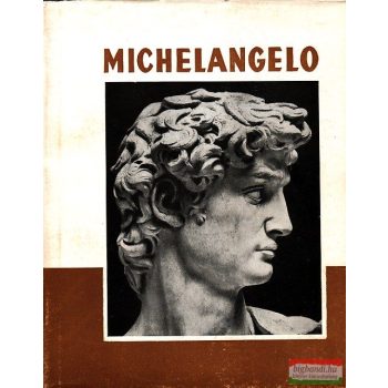 Michelangelo