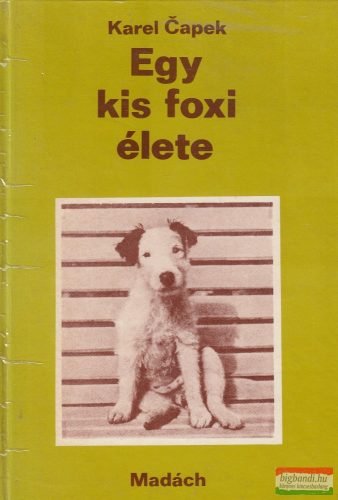 Karel Čapek - Egy kis foxi élete