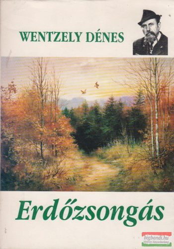 Wentzely Dénes - Erdőzsongás