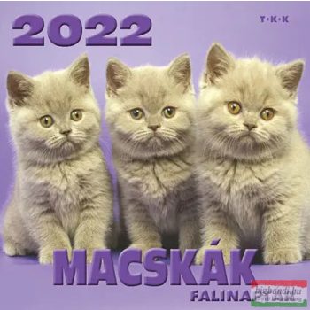 MACSKÁK FALINAPTÁR 2022