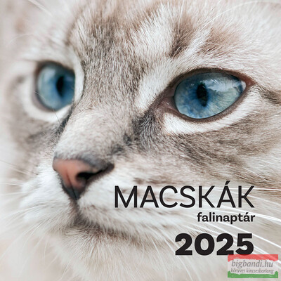 Macskák falinaptár 2025