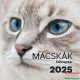 Macskák falinaptár 2025