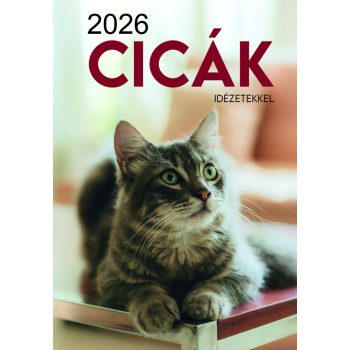 Cicák falinaptár 2026 - idézetekkel