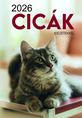 Cicák falinaptár 2026 - idézetekkel