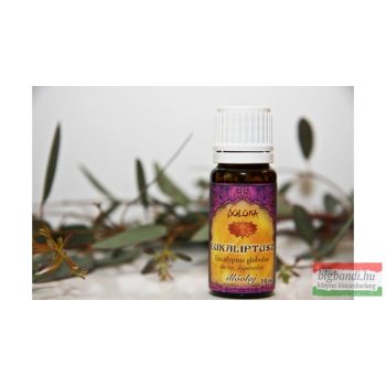 Eukaliptusz illóolaj 10 ml