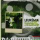 Leukémia - Üzenetek a törésvonalról CD