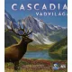 Cascadia vadvilága társasjáték