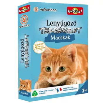 Lenyűgöző természet: Macskák társasjáték
