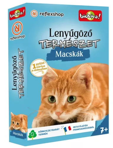 Lenyűgöző természet: Macskák társasjáték