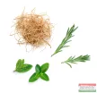 doTERRA  Thinker™ Figyelmet segítő keverék 10 ml