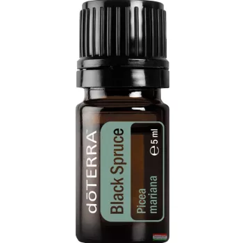 doTERRA  Black Spruce / Kanadai fekete luc 5 ml