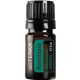 doTERRA -  Ravintsara / Cinnamomum camphora 5 ml