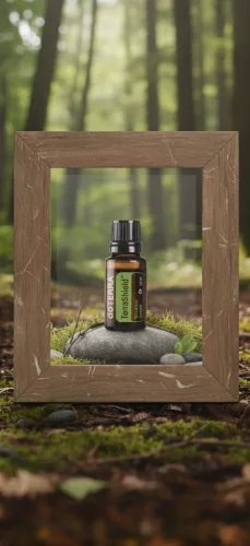 doTERRA  Terrashield™ Kültéri keverék 15 ml