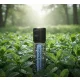 doTERRA  Borsmenta gyöngyöcske