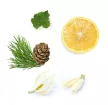  dōTERRA Shinrin-Yoku™  - Erdőfürdőzés keverék 15 ml