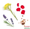 dōTERRA Salubelle™ Szépség keverék 