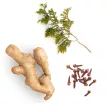 doTERRA Vanilla Chai - Fűszeres keverék