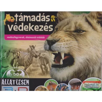 Bagoly Ilona - Támadás és védekezés