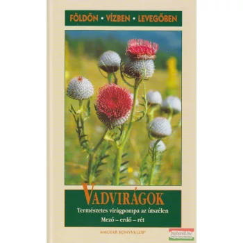 Vadvirágok - Természetes virágpompa az útszélén