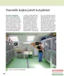 dr. Király Péter - Árva kutyák új élete 