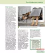 dr. Király Péter - Árva kutyák új élete 