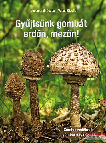 dr. Locsmándi Csaba, dr. Vasas Gizella - Gyűjtsünk gombát erdőn, mezőn! - Gombaszedőknek, gombavizsgálóknak