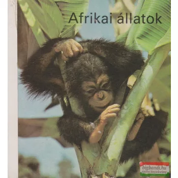 Afrikai állatok - képeskönyv