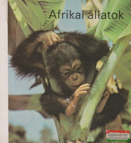 Afrikai állatok - képeskönyv