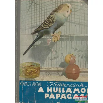 Kedvencünk, a hullámos papagáj