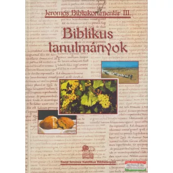 Szent Jeromos Bibliakommentár III.: Biblikus tanulmányok