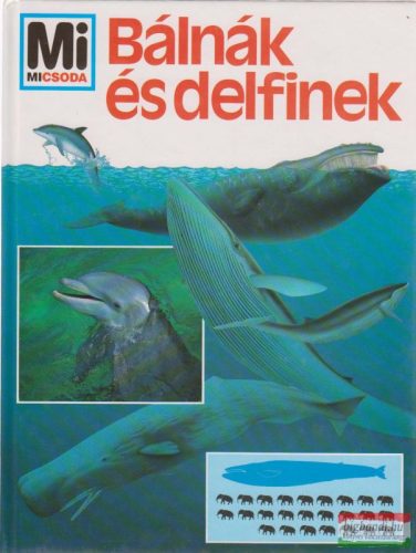 Petra Deimer - Bálnák és delfinek